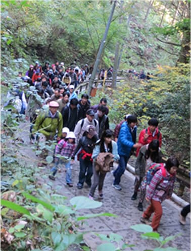 Field Trip to Mt. Takaosan