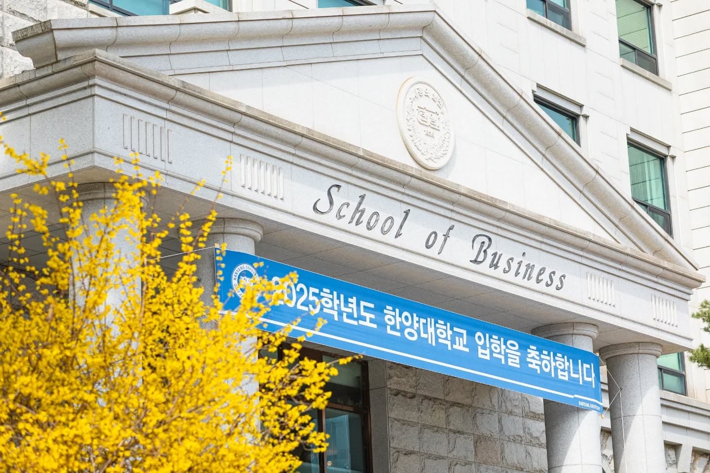 Bachelor of Business Administration in Accounting and Tax-cover-image