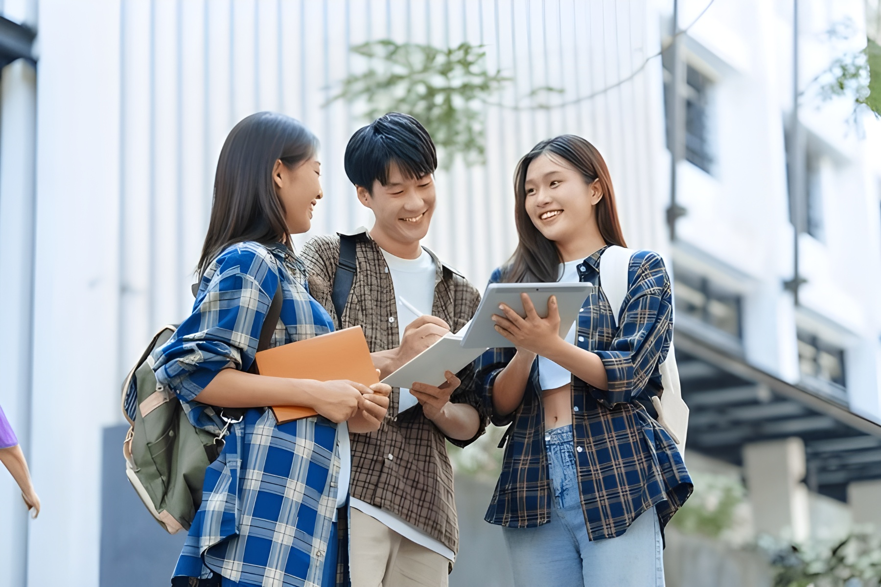 Elementary Japanese 2-cover-image