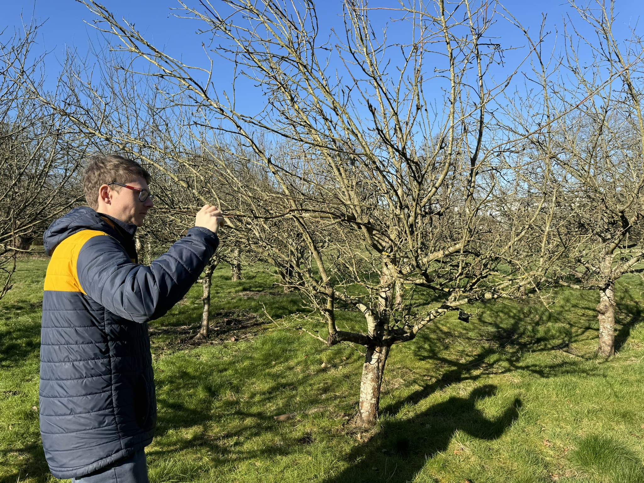 Quantity Surveying-cover-image