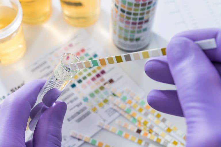 Doctor of Philosophy Program in Pharmacology and Toxicology-cover-image