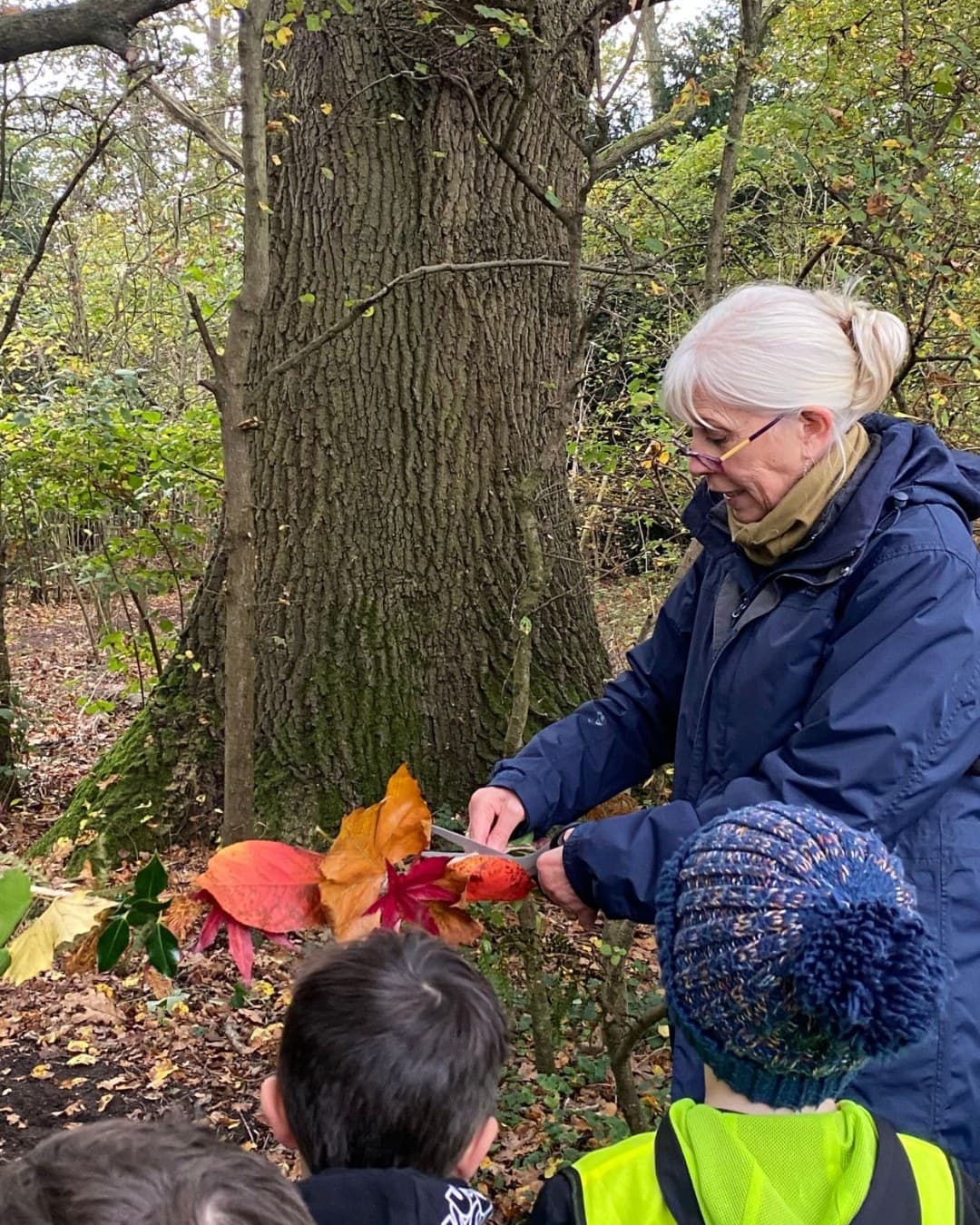 Psychology with Professional Placement-cover-image