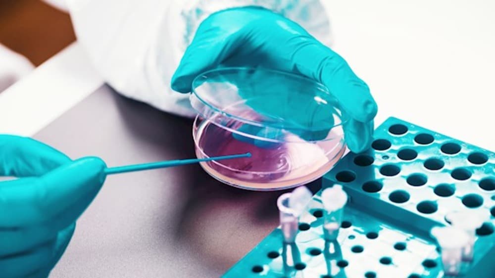 Bachelor of Science (Honours) Microbiology-cover-image